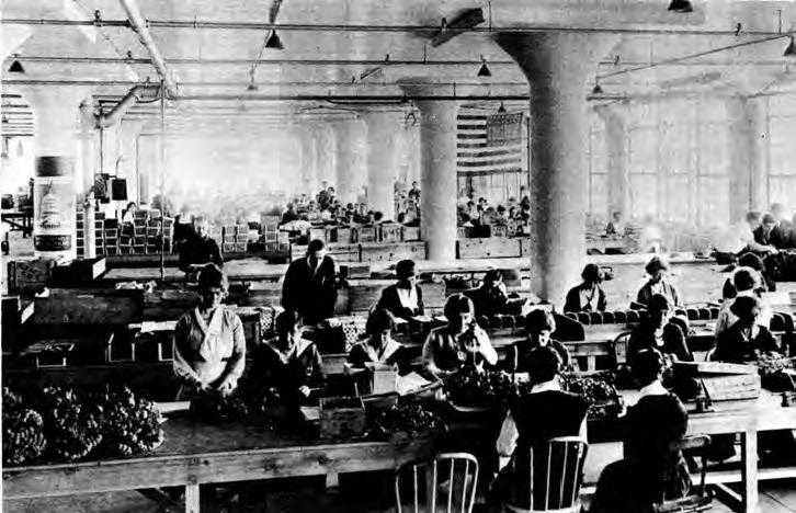 Black and white photo of internal factory with rows of women sitting at tables in a gas mask plant