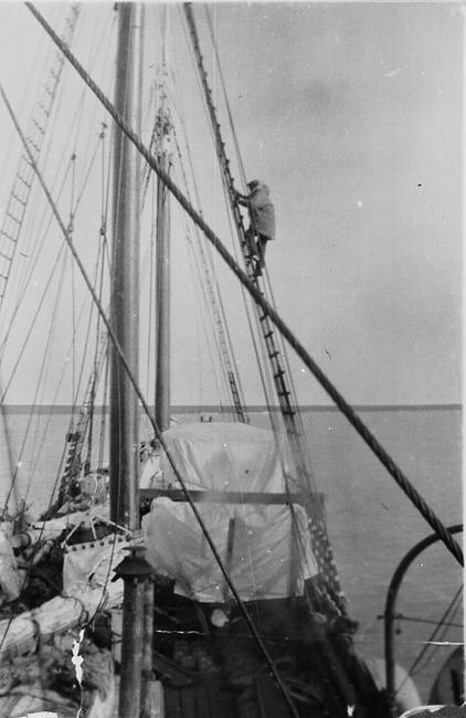 A group of sailors standing at top of rigging with flag on top, waving from precarious heights