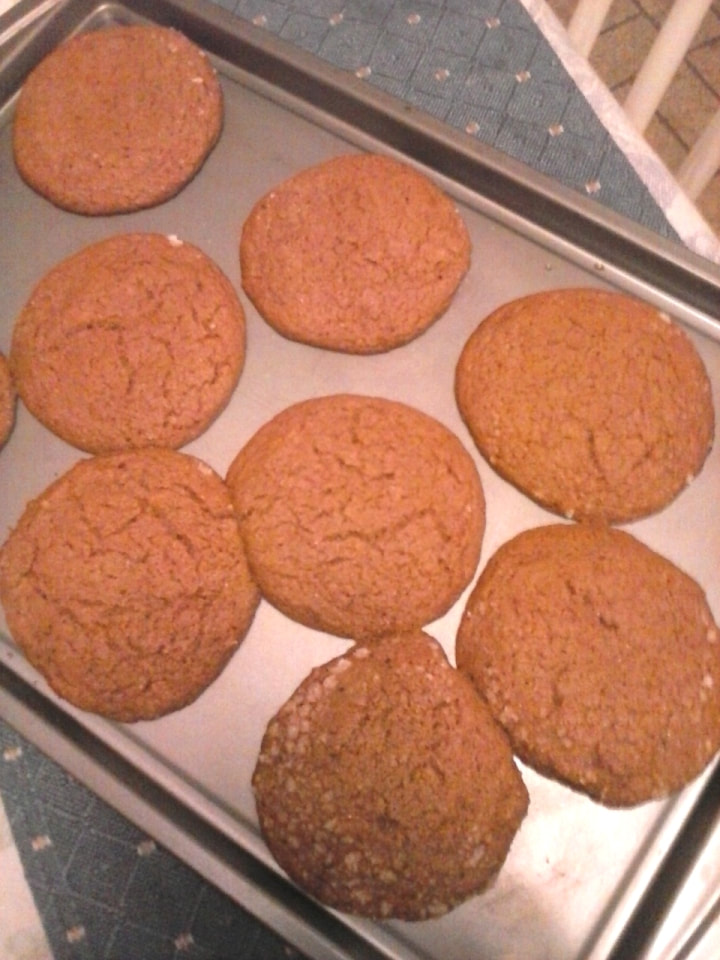 Wide, flat brown cookies with a cracked surface arranged on a baking sheet.